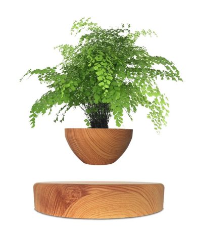 Planta verde em vaso de madeira suspenso no ar, com base de madeira sob ela, sem suporte visível.