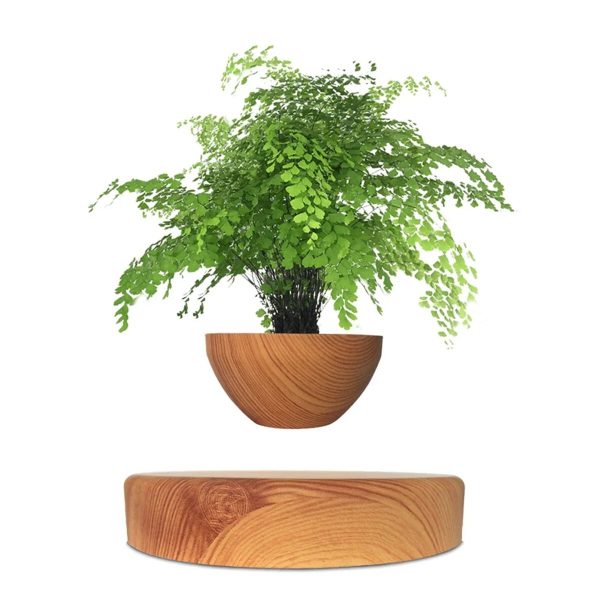 Planta verde em vaso de madeira suspenso no ar, com base de madeira sob ela, sem suporte visível.