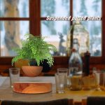 Vaso de madeira com planta suspensa de folhagem verde, em mesa de jantar com copos e garrafas, janela ao fundo com vista para o exterior.