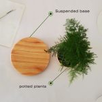Vaso de plantas suspensas com base pendurada e plantas em vaso, vista superior, com etiquetas explicativas.