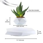Vaso em levitação com planta artificial de folhas verdes e textura pontilhada, sem planta real, com base de suporte branco geométrico e dimensões indicadas.