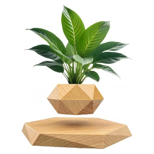 Vaso de levitação de madeira com uma planta verde de folhas largas, suspenso acima de uma base de madeira com forma geométrica.