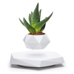 Vaso em levitação com planta Aloe Vera, base geométrica branca, efeito de flutuação, fundo branco, iluminação suave.