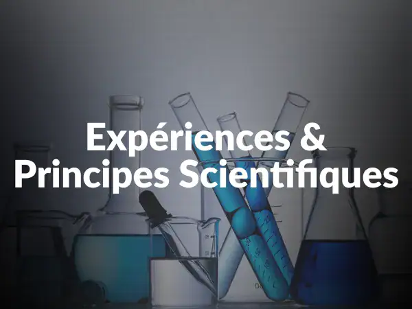 Expérience et principes scientifique