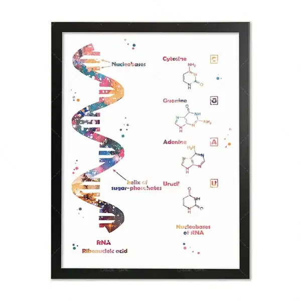 Ilustração de uma cadeia de DNA com nucleobases, incluindo citosina, adenina, uracilo, guanina e ribonucleótidos, com cores vibrantes e detalhes científicos.