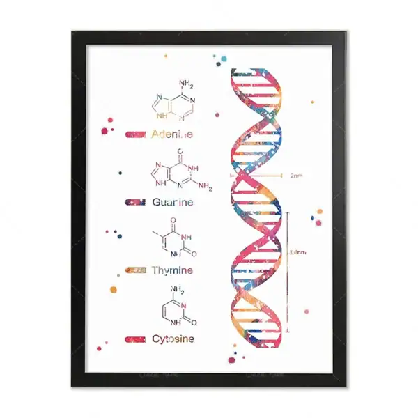 Representação gráfica de uma cadeia de DNA com moléculas de adenina, guanina, timina e citosina ao lado, com detalhes das ligações químicas.
