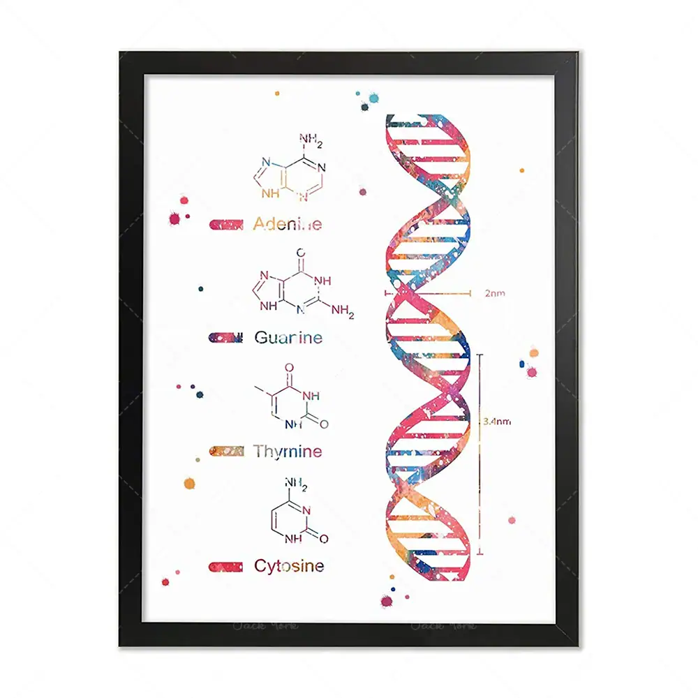 Hb4718ff2850f44b79bec8734c80d968aM.webp Poster ADN – Image 1