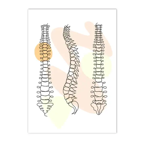 Três desenhos de modelos de coluna vertebral, mostrando diferentes ângulos e detalhes da estrutura óssea.