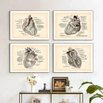 Quatro ilustrações detalhadas do coração humano, cada uma mostrando diferentes ângulos e detalhes internos, com textos explicativos ao lado de cada uma.