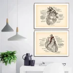 Duas ilustrações detalhadas do coração humano, uma mostrando a anatomia externa e outra a interna, com etiquetas explicativas em português.