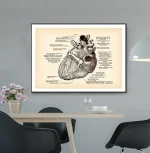 Ilustração detalhada do coração humano com etiquetas explicativas de suas partes principais, incluindo câmaras, válvulas e vasos sanguíneos.