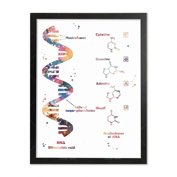 Ilustração de uma cadeia de DNA com bases nitrogenadas e componentes químicos relacionados, com cores vibrantes e detalhes científicos.