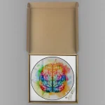 Caixa aberta com ilustração de cérebro pintado com cores vibrantes, em estilo artístico, sobre fundo branco, com detalhes de tinta espalhada ao redor.