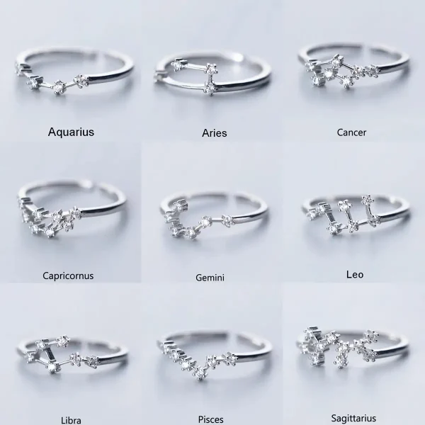 Conjunto de sete anéis de prata, cada um representando um signo zodiacal com detalhes brilhantes e design delicado.