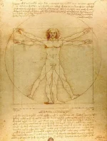 Desenho do Homem de Vitrúvio de Leonardo da Vinci ilustrando as proporções ideais do corpo humano num quadrado e num círculo.