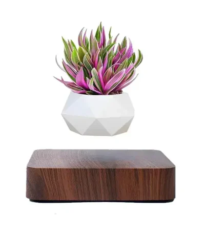 Vaso de flor flutuante por levitação magnética com planta decorativa.