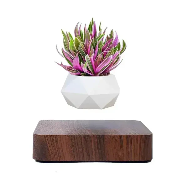 Vaso de flor flutuante por levitação magnética com planta decorativa.