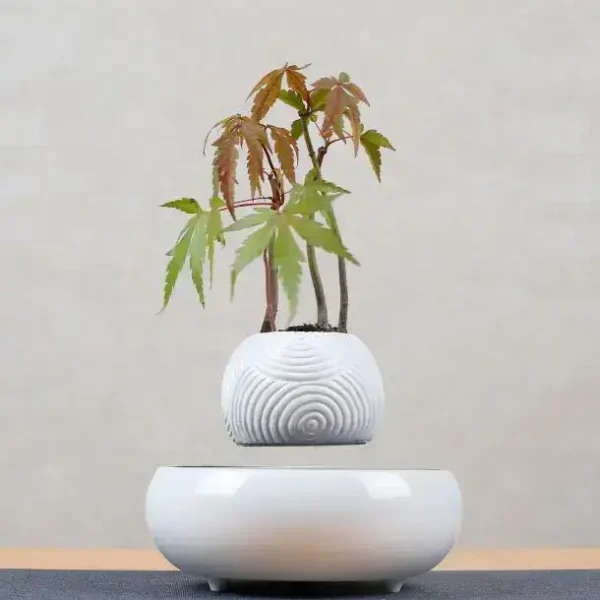 Vaso branco contendo uma pequena árvore de bordo com folhas verdes e vermelhas, decorativo e inspirado na natureza.