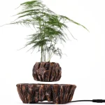 Planta verde em vaso decorativo para interior, inspirada por um estilo científico e moderno. Perfeito para adicionar um toque natural ao seu espaço de vida ou trabalho.