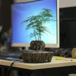 Planta verde em vaso de madeira, decorada para um ambiente de escritório ou estudo, trazendo um toque natural e calmante ao espaço de trabalho.