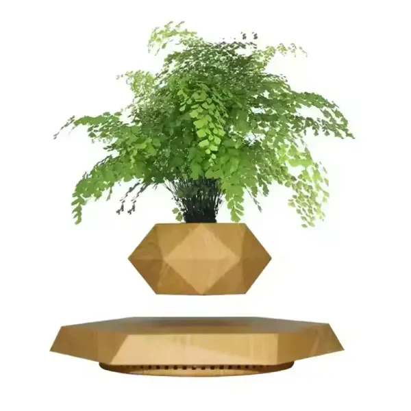 Vaso flutuante em madeira com planta verde em levitação, decoração moderna e original.