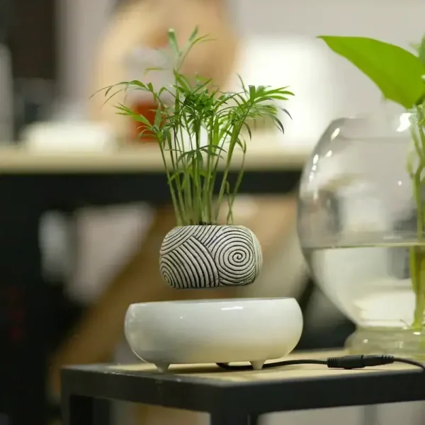 Pequena planta verde em um vaso em forma de espiral com padrão geométrico, ideal para decoração científica ou moderna.