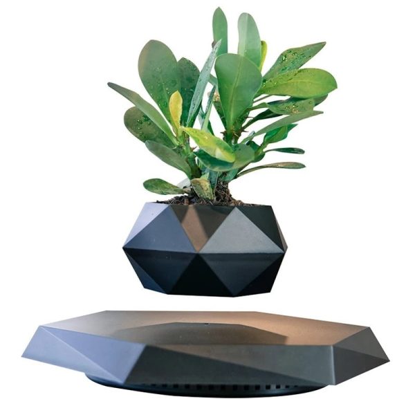 Vaso de planta geométrico em cerâmica preta com uma planta verde, decoração moderna e elegante para interiores ou escritório.