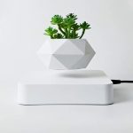 Vaso moderno em forma geométrica com suculentas verdes, ideal para decoração interior científica e elegante.