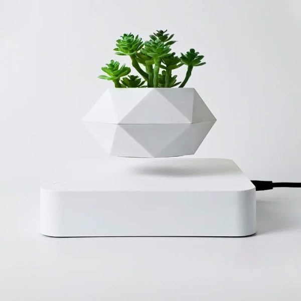 Vaso moderno em forma geométrica com suculentas verdes, ideal para decoração interior científica e elegante.