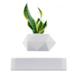 Varanda, interior, decoração moderna com planta verde.