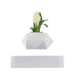 Vaso geométrico branco com flor branca e folhas verdes, decoração moderna e elegante.