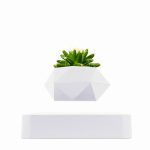 Vaso moderno em forma geométrica com planta suculenta verde, perfeito para decoração interior ou de escritório.