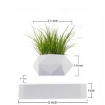 Pequena planta verde em vaso geométrico branco, ideal para decoração interior ou de escritório, trazendo um toque de natureza moderna.
