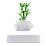 Lâmpada de mesa moderna em forma de planta verde com suporte geométrico branco, ideal para uma decoração científica ou contemporânea.