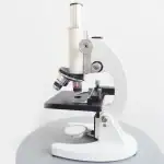 Microscope scientifique blanc pour observation précise en laboratoire ou à la maison. Idéal pour l'étude de petits objets, cellules ou micro-organismes avec une haute résolution.