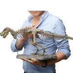 Modelo de esqueleto de Tyrannosaurus rex para decoração científica ou educativa, apresentado por um colecionador ou museu.