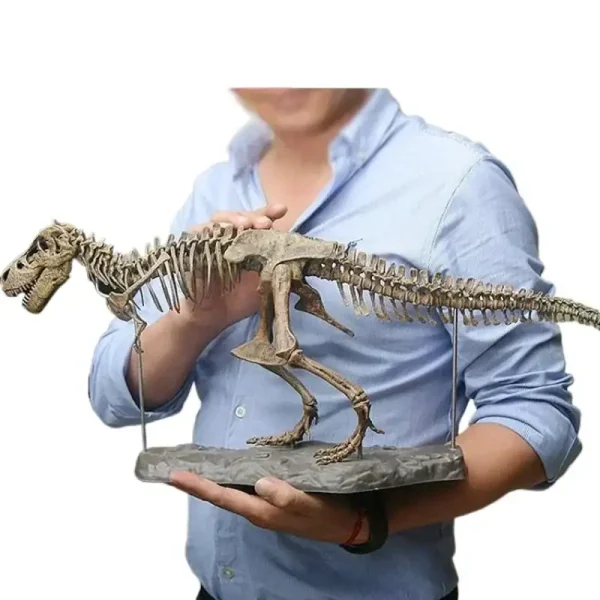 Modelo de esqueleto de Tyrannosaurus rex para decoração científica ou educativa, apresentado por um colecionador ou museu.