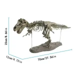 Representação de um esqueleto de T-Rex em ossos fossilizados, medindo 70 cm de comprimento, 22 cm de altura e 12 cm de largura, ideal para decoração científica.