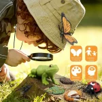 Criança usando uma lupa para observar uma figura de sapo em plástico, cercada por objetos educativos e decorativos inspirados na natureza, com ícones de modelagem, educação, cores e.