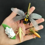 Modelo de inseto em plástico com asas transparentes, corpo colorido e detalhes realistas, ideal para aprendizado e decoração científica.