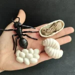 Modelo científico de escorpião preto em miniatura com ovos de formigas e ovo aberto mostrando a larva, perfeito para decoração educativa ou científica.