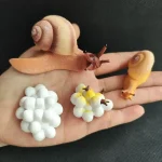 Coleção de figuras de caracóis em plástico e borracha, representando diferentes espécies com detalhes realistas e cores variadas, perfeitas para decoração científica ou educativa.