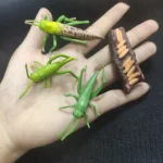 Acessórios de decoração científica em forma de insetos e criaturas naturais. Ideal para uma decoração original ou um presente para apaixonados por ciência e natureza.