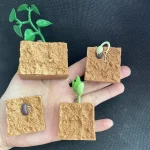 Modelo científico de plantas e sementes em plástico, ilustrando o crescimento e desenvolvimento das plantas em um ambiente educativo.