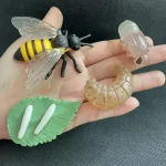 Modelo científico de abelha, larvas e insetos para educação e decoração.