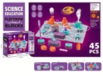 Jogo de circuito elétrico educativo para crianças de 6 anos, incluindo 45 peças para aprender eletricidade de forma lúdica.