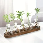 Vasos de vidro com raízes de plantas verdes, apresentados sobre uma tábua de madeira, perfeitos para decoração científica ou natural.