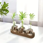 Três pequenas plantas verdes em vasos de vidro de forma redonda, colocados sobre uma tábua de madeira, decorando um interior iluminado.