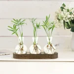 Três vasos de vidro com raízes de plantas verdes, dispostos sobre uma tábua de madeira, decorando um interior moderno e minimalista.