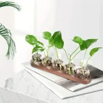 Jardineira de plantas verdes em frascos de laboratório de vidro.